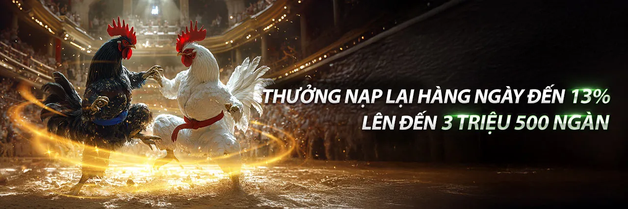 Đá gà trực tuyến 28win hiện đang mở với không khí sôi động